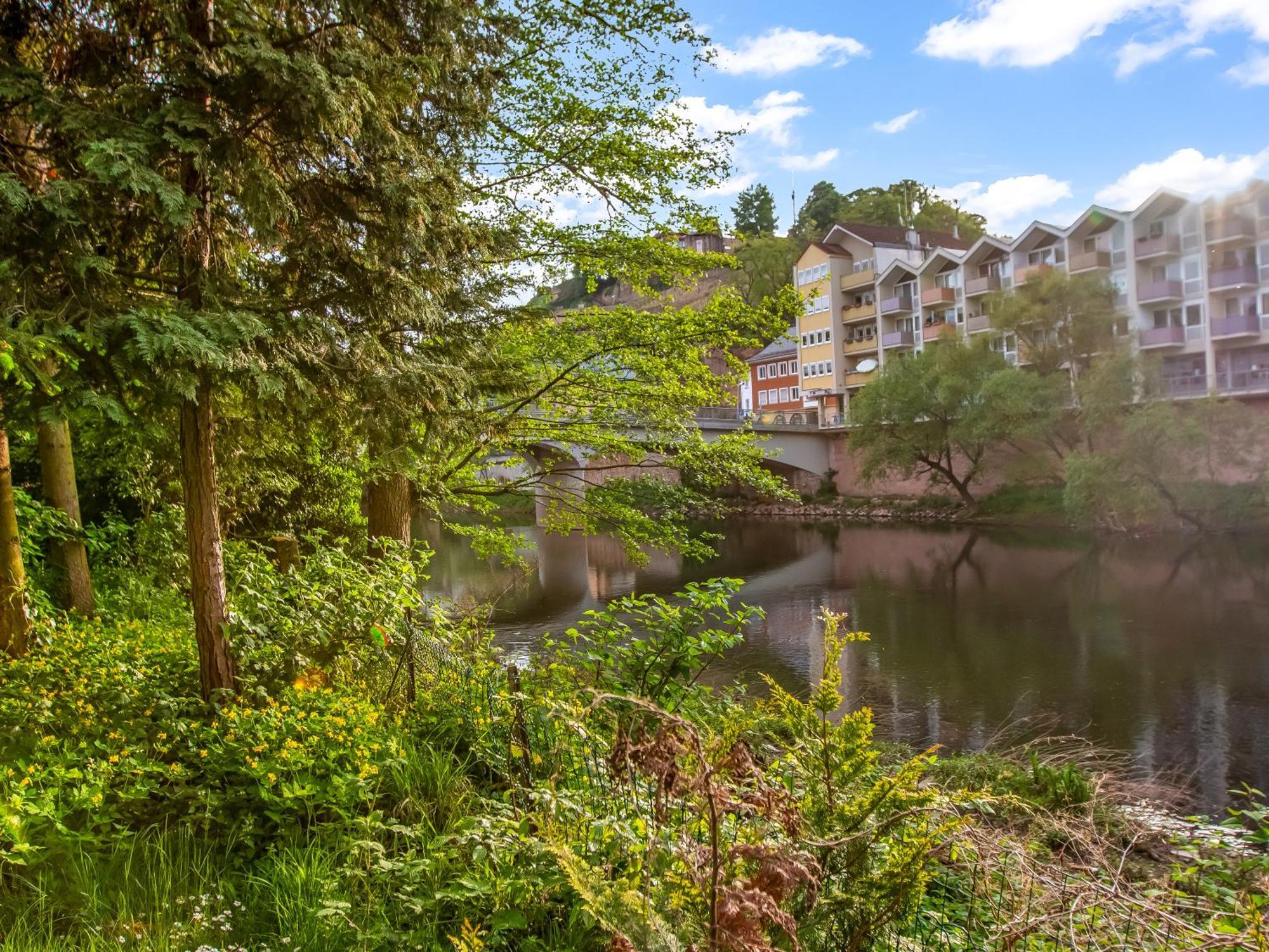 Altstadt Apartment Am Wasser Mit Parkplatz Und Riesigem Garten Bad Kreuznach Exterior photo